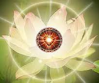 Serve No Apologies for Being You